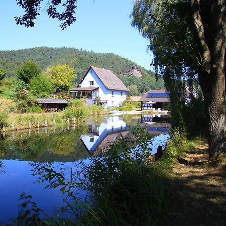 Au Numero 6 Obersteinbach Exterior foto